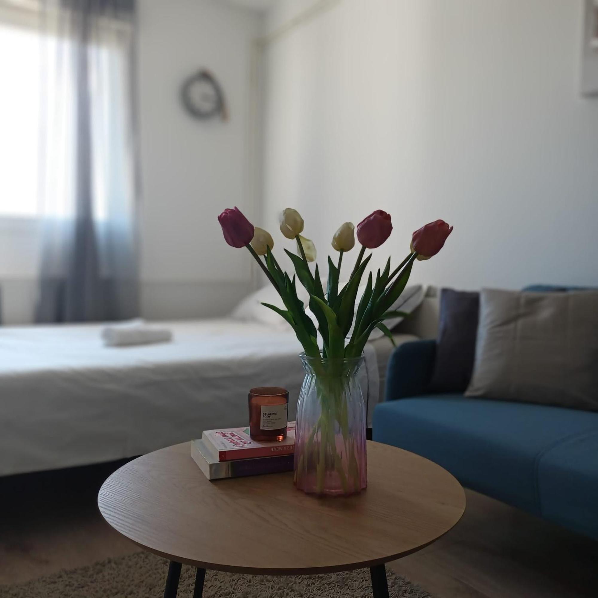 Modern Studio Near City Center Zagreb Exteriör bild